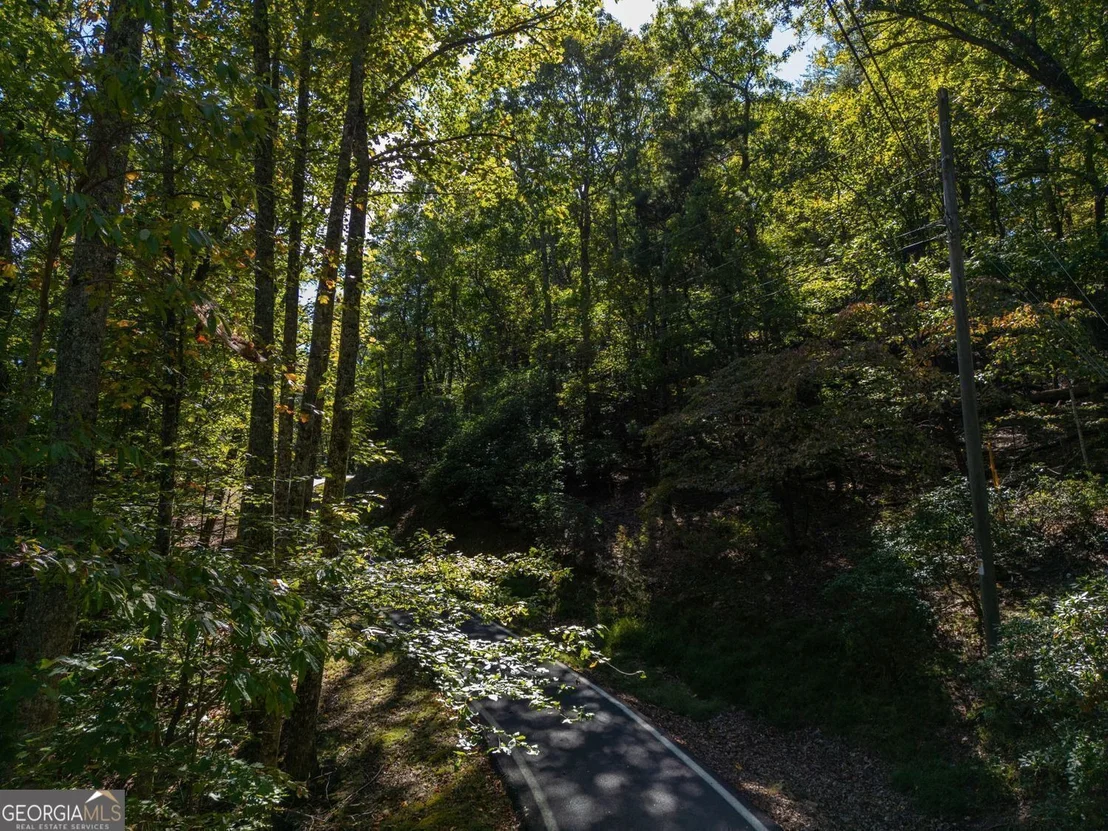 Photo of 0 Little Hendricks Mountain Road