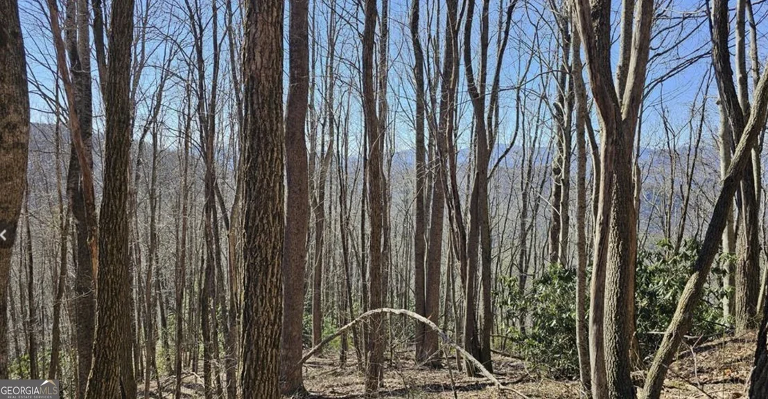 Photo of 0 Highland Gap Road