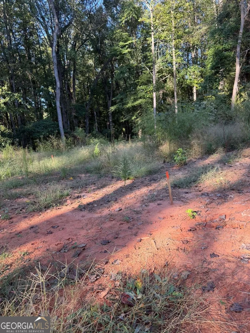 Photo of 92 Ida Pace Road