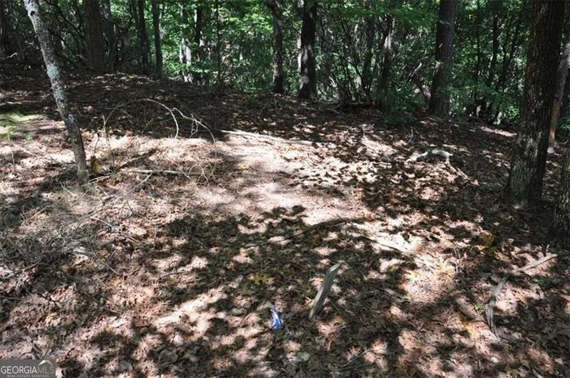Photo of 64 Wrens Nest