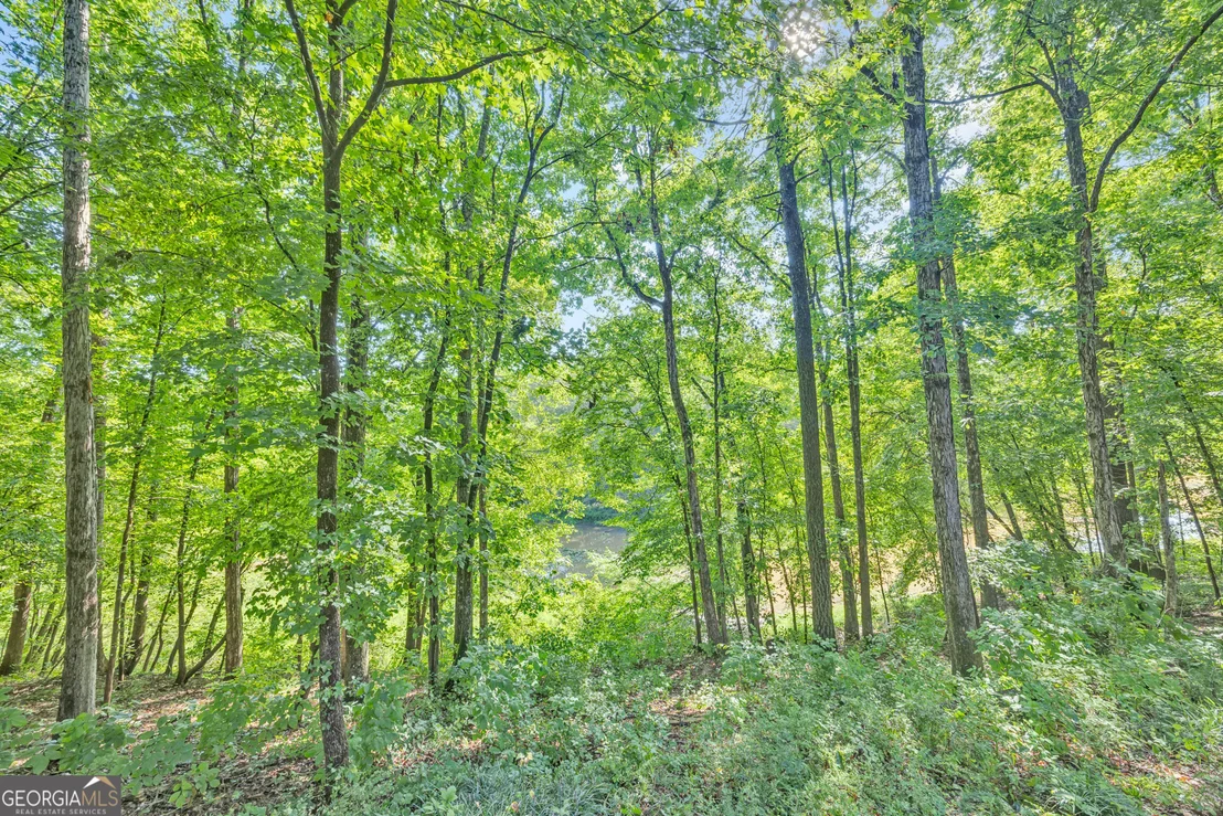 Photo of 1770 River Bluff Road