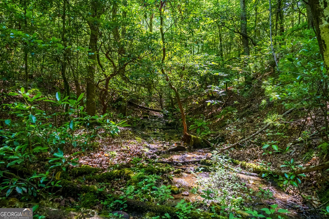 Photo of 0 White Pine Road