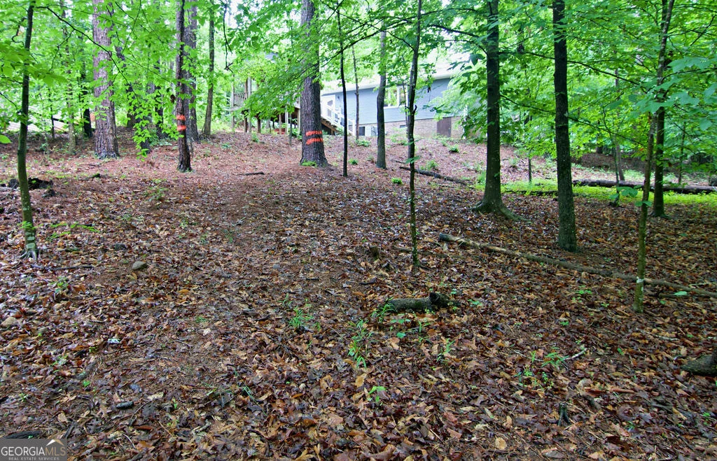 Photo of 1279 Coneross Point Drive
