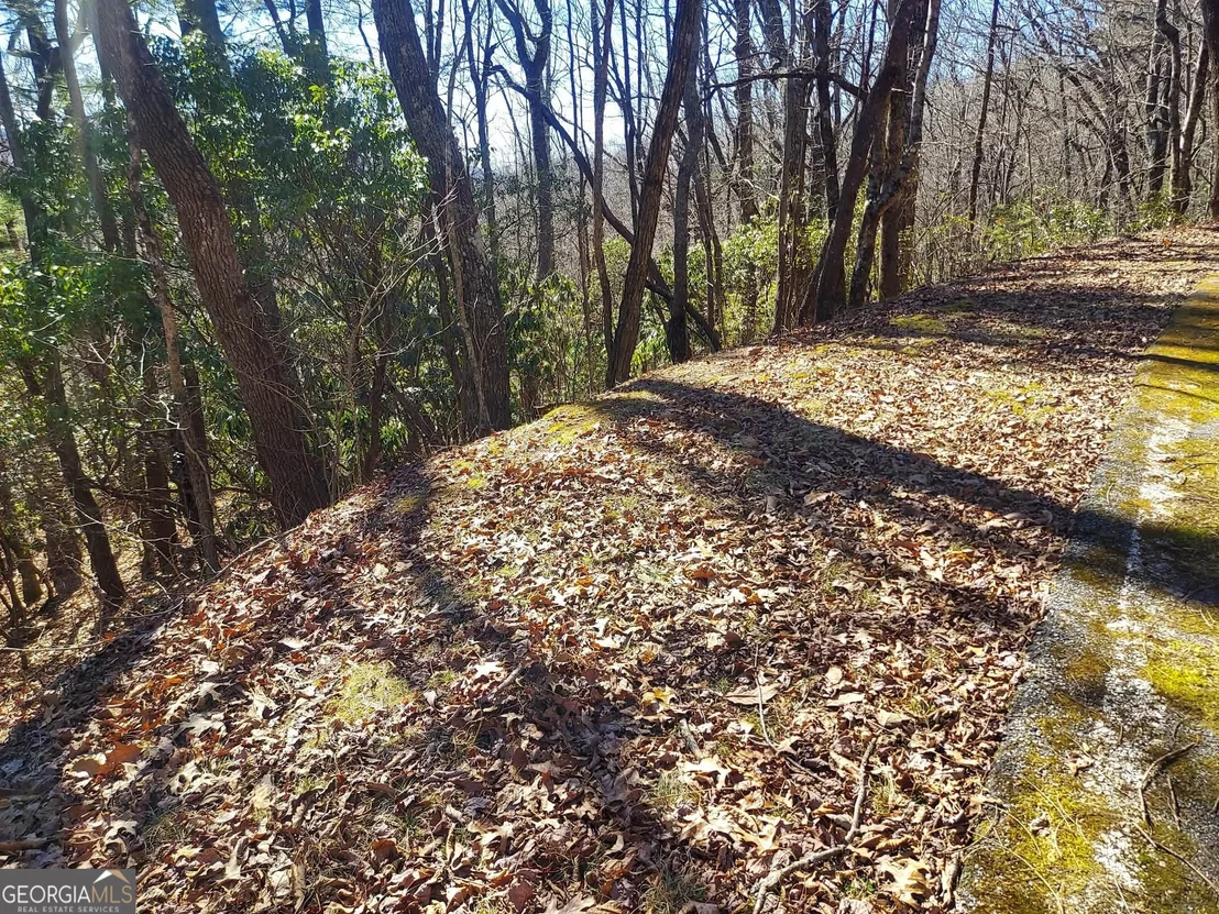Photo of 0 LOT 41 Pipetrack Gap Road