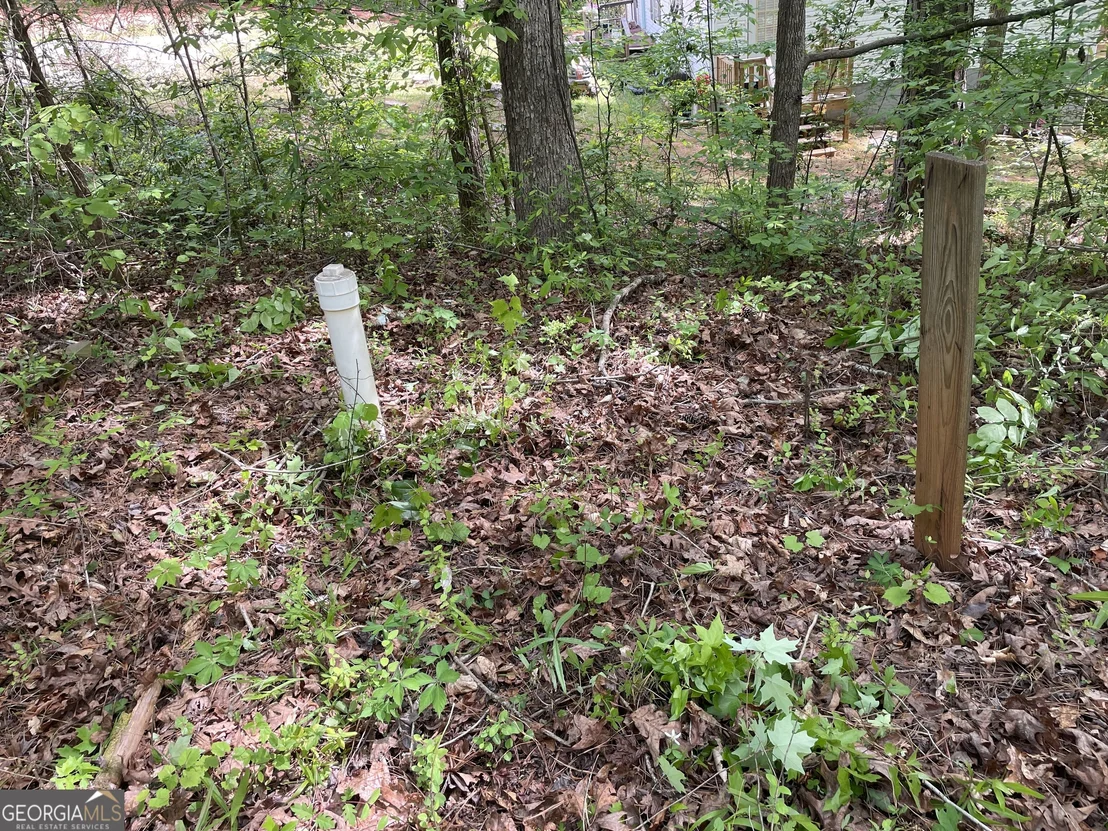 Photo of 225 White Birch Drive