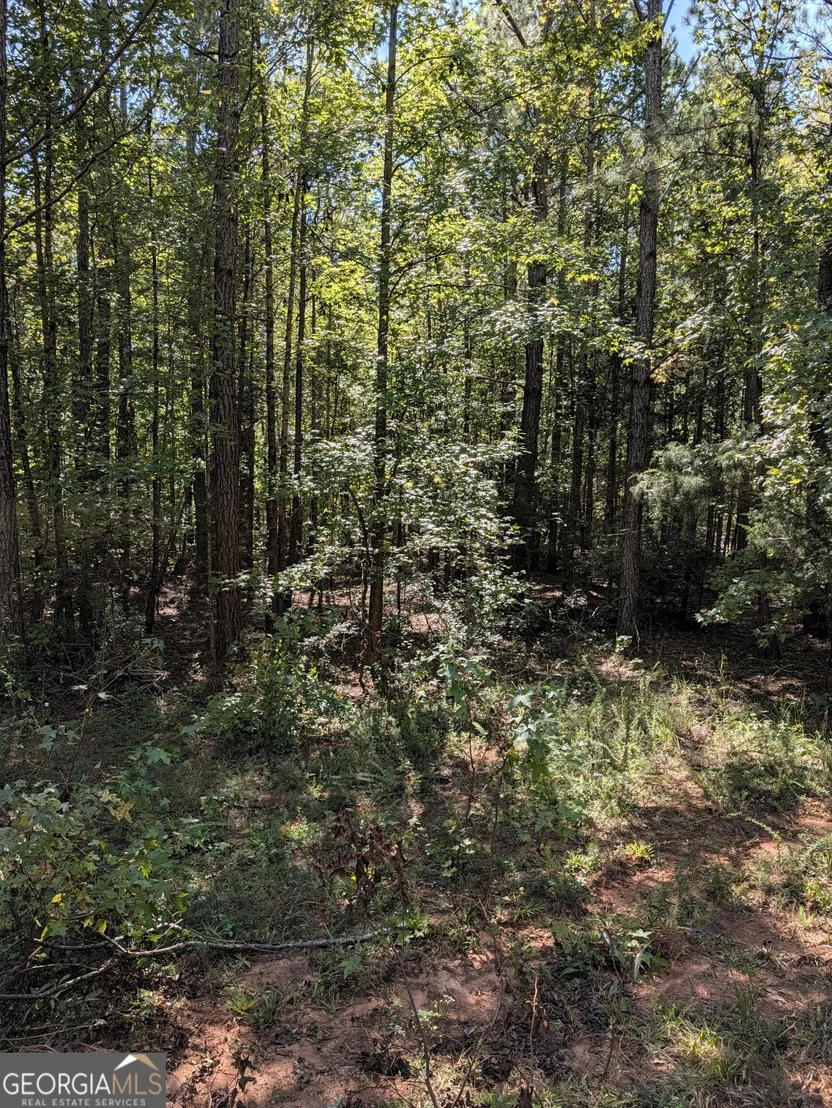 Photo of 0 CHAPPELL MILL Chappell Mill Road