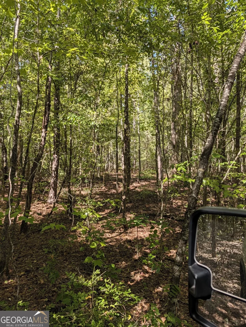Photo of 0 CHAPPELL MILL Chappell Mill Road