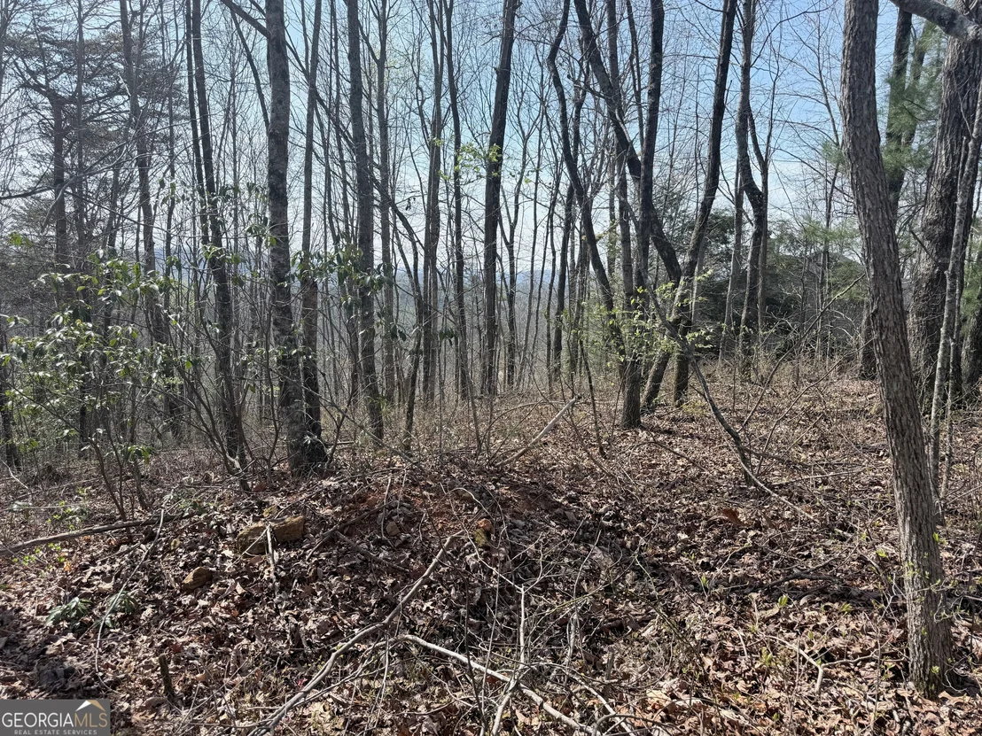 Photo of 0 Roundtop Drive