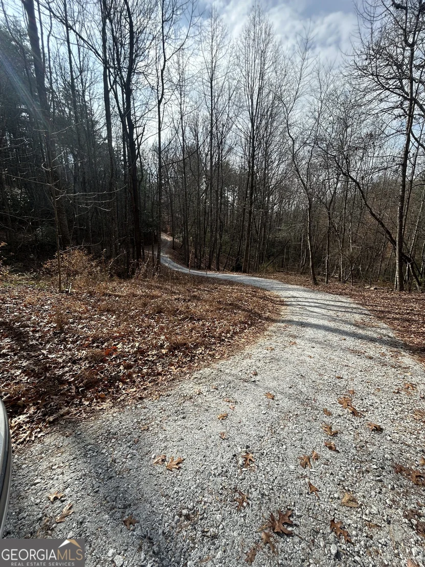 Photo of 0 Amaryllis Lane