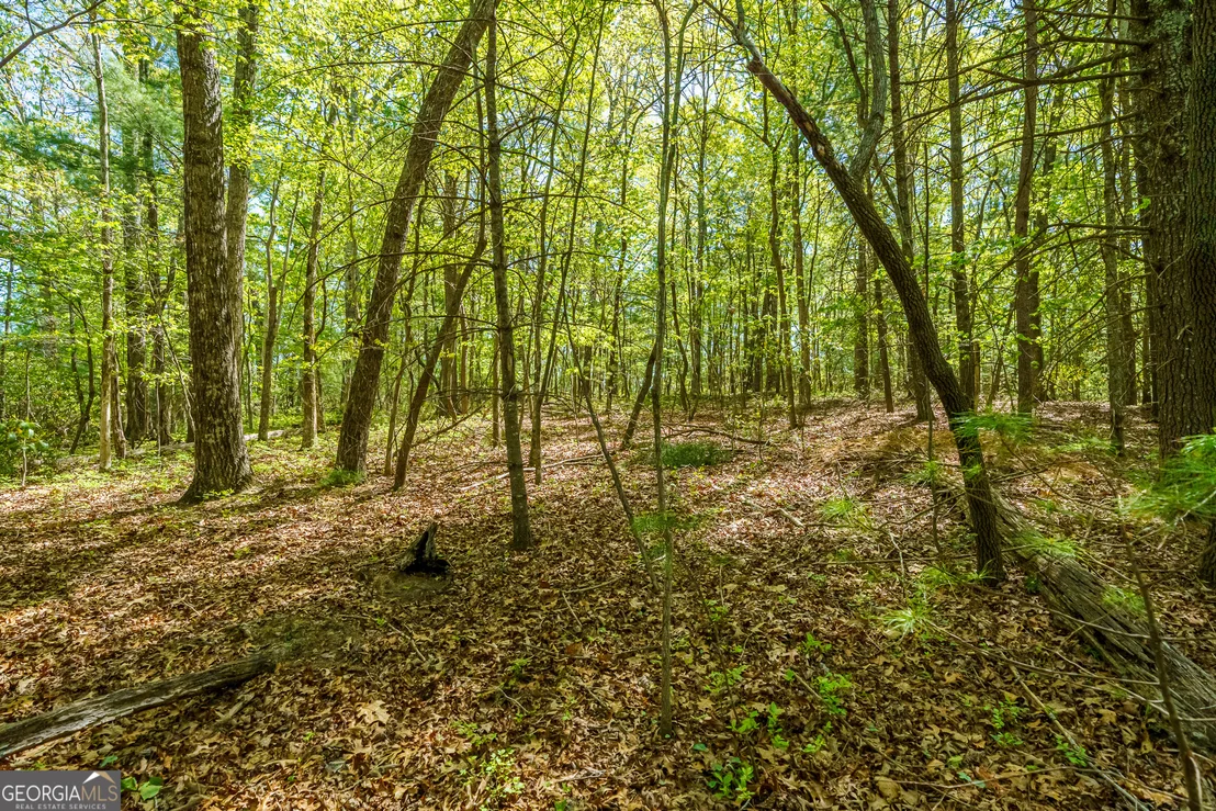 Photo of LOT 3 Spring Camp Road