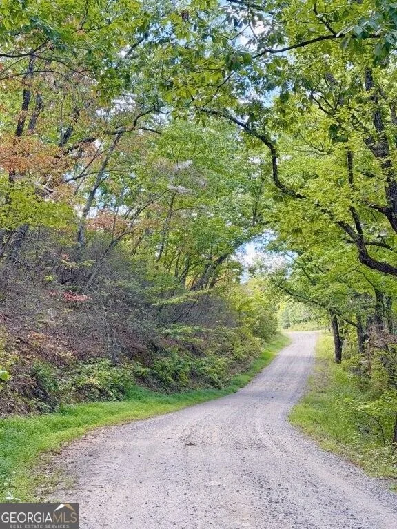 Photo of 0 Fox Mountain Road