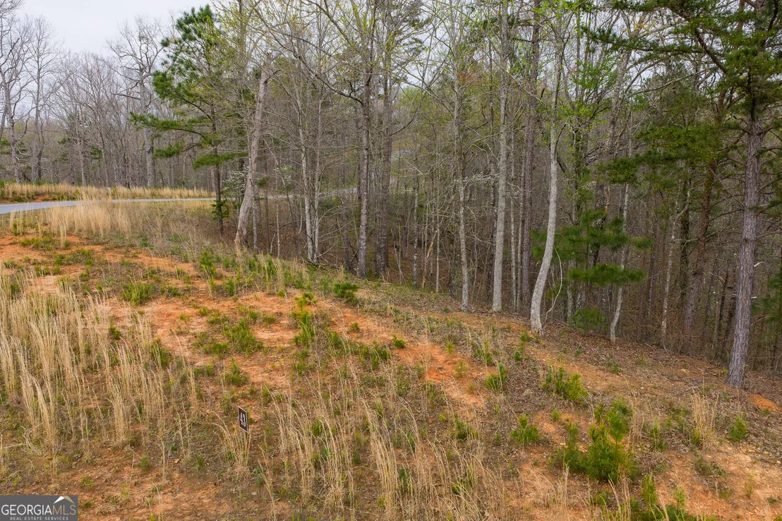 Photo of LOT 43 Bucktail Way