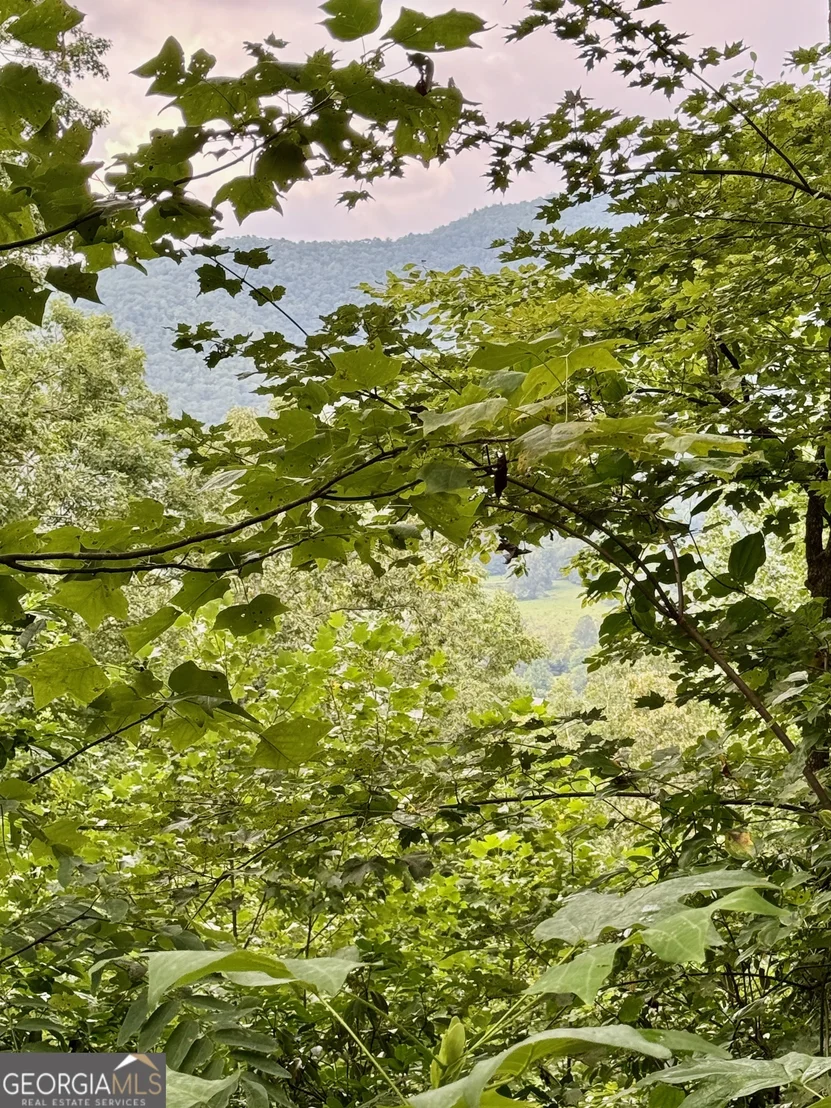 Photo of LOT 6 Raven Fork Trail