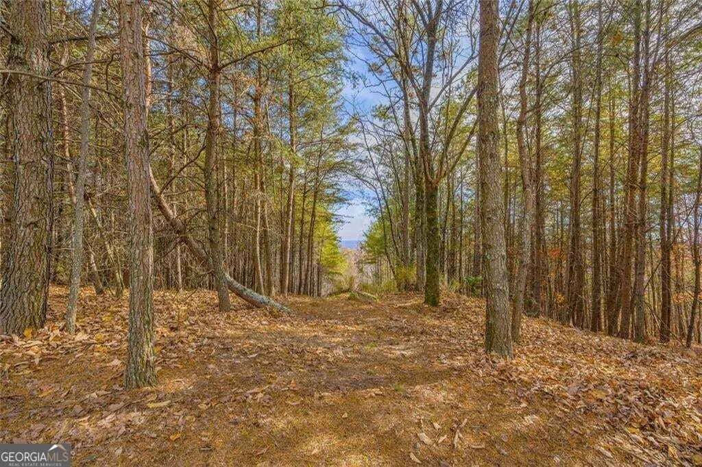 Photo of Unit LOT4LOT5 at 0 Eagle Ridge Trail