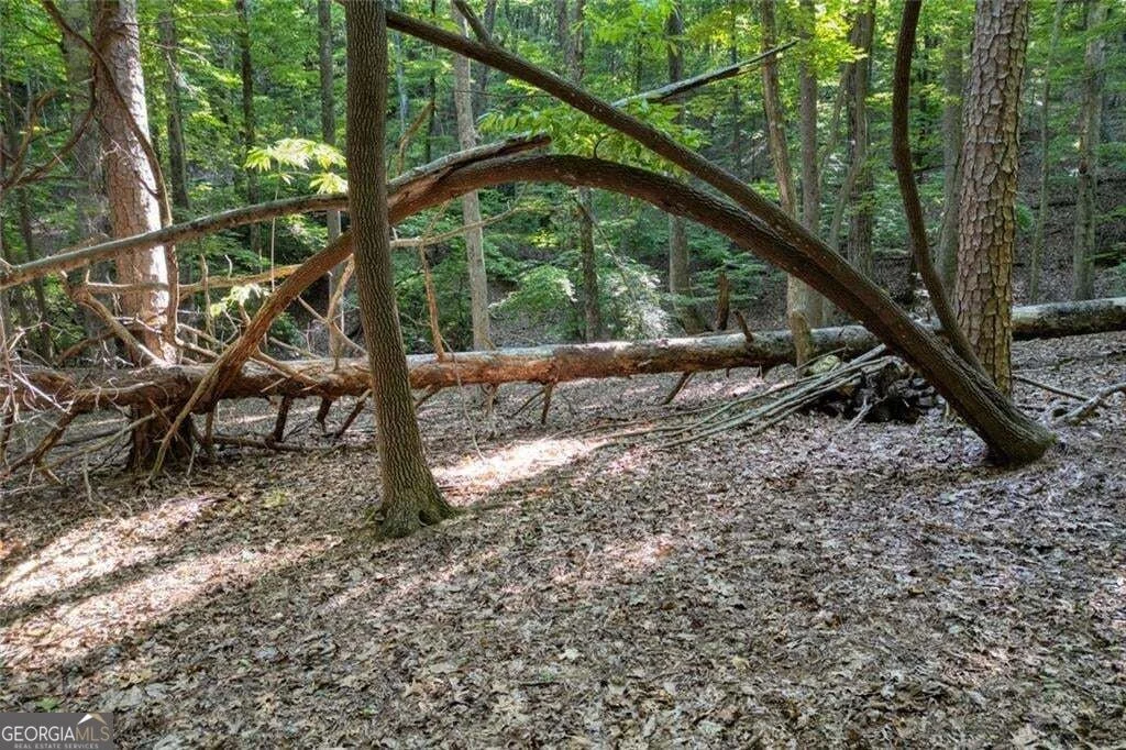 Photo of 90 Cardinal Cove