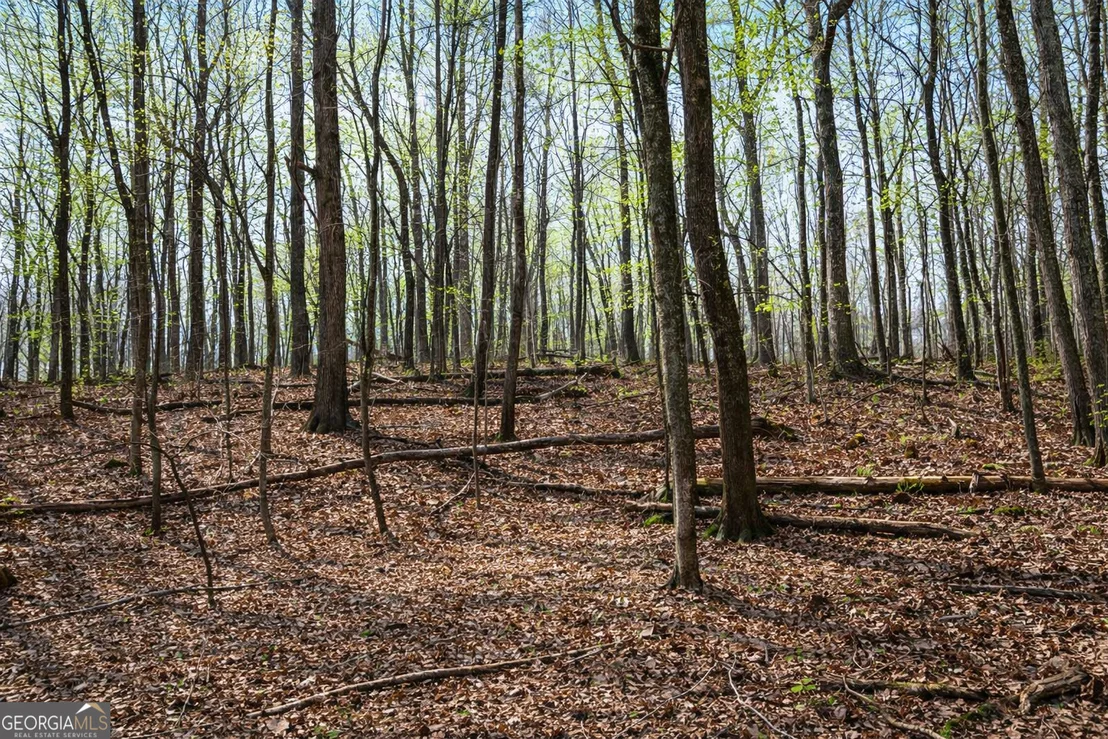 Photo of Unit LOT3 at 2325 Stonepile Road