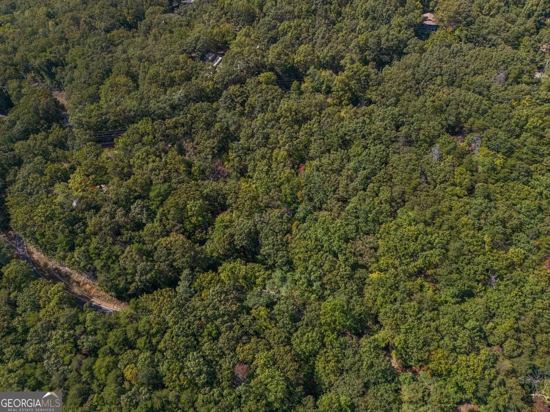 Photo of 0 Little Hendricks Mountain Road