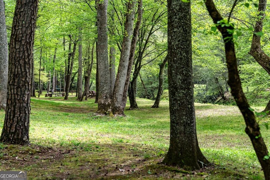Photo of LOT 3 Spring Camp Road