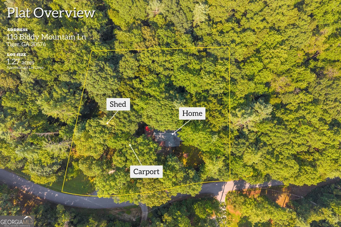 Photo of 113 Biddy Mtn Lane