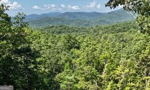 Photo of LOTS 12 &14 Crows Nest