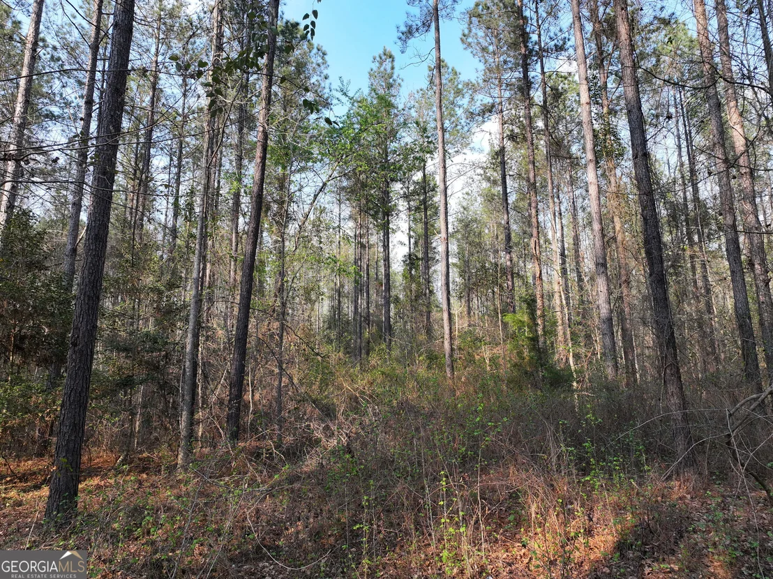 Photo of 195 County Line Road