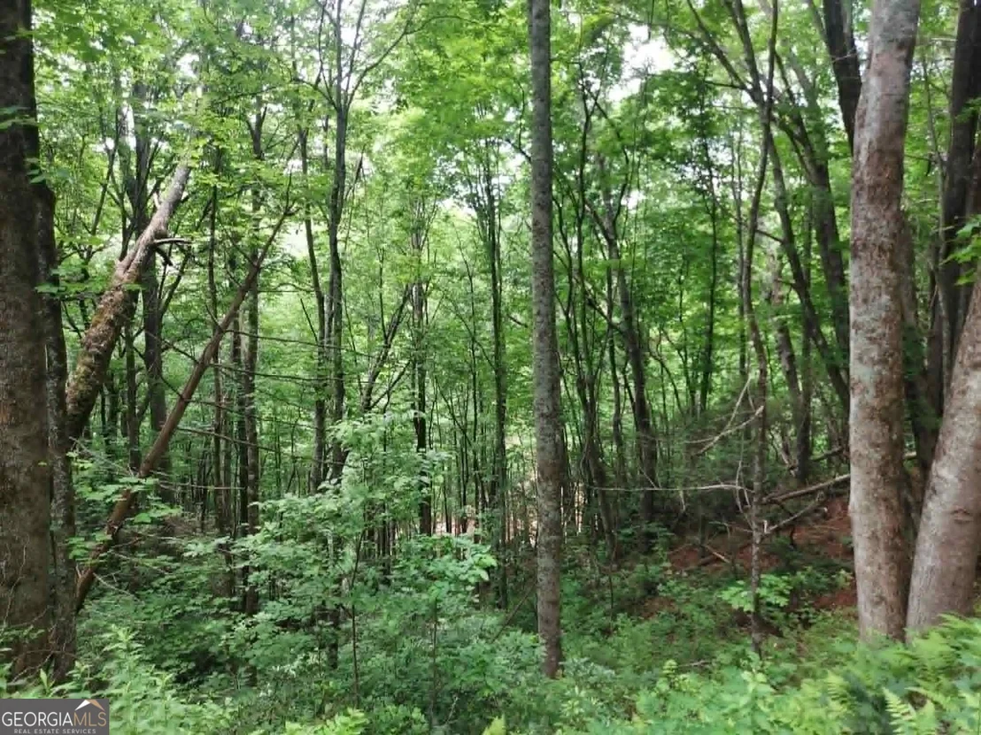 Photo of 0 LOT 37 Saddleback Circle