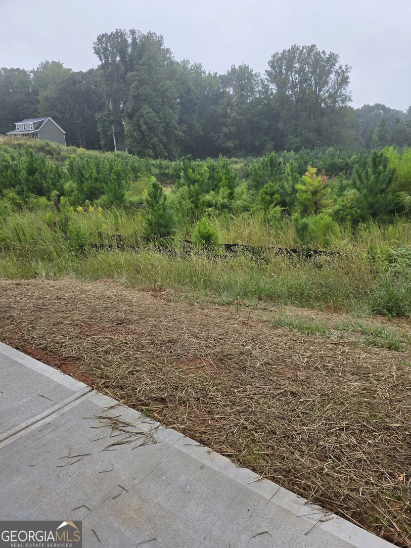 Photo of 60 Charlotte Drive
