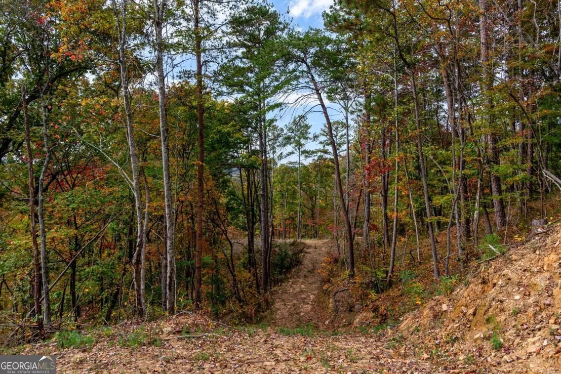 Photo of LOT 269 Canoe Way