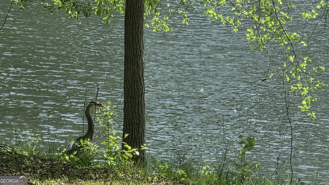 Photo of 135 Canters Run