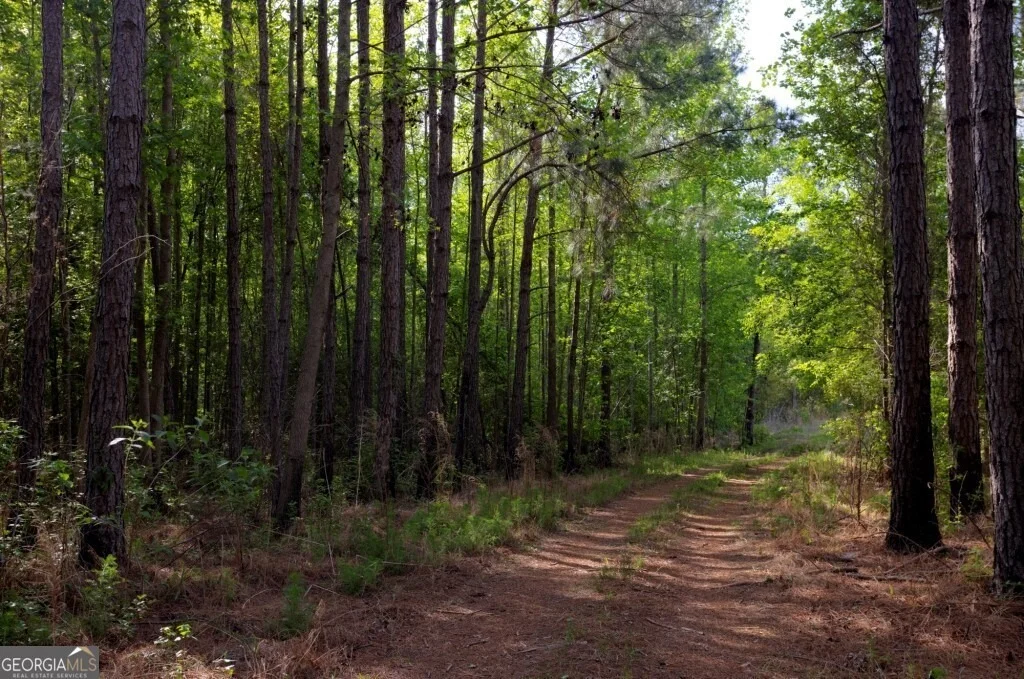 Photo of 5391 Big Pine Road