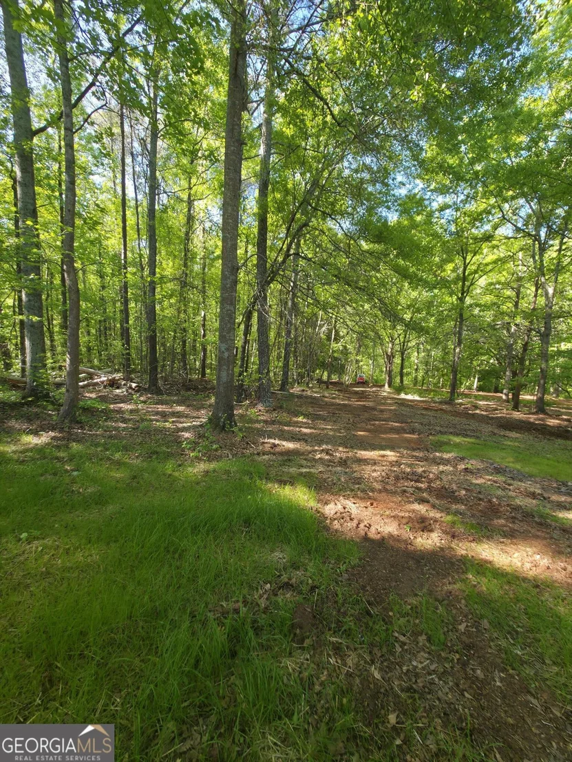 Photo of 866 Smithonia Road