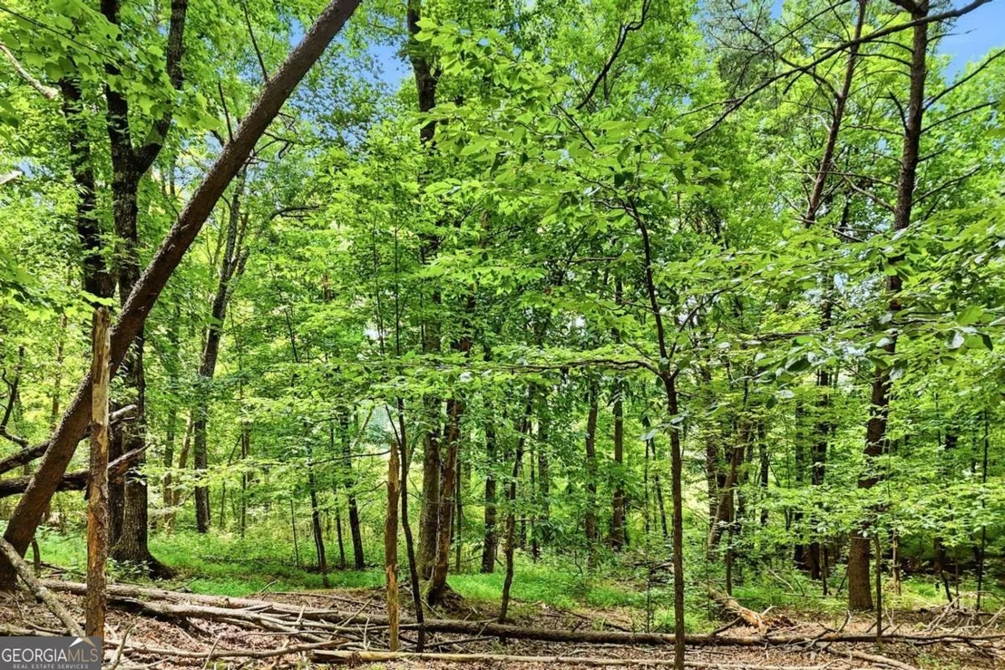 Photo of 35 Quail Walk