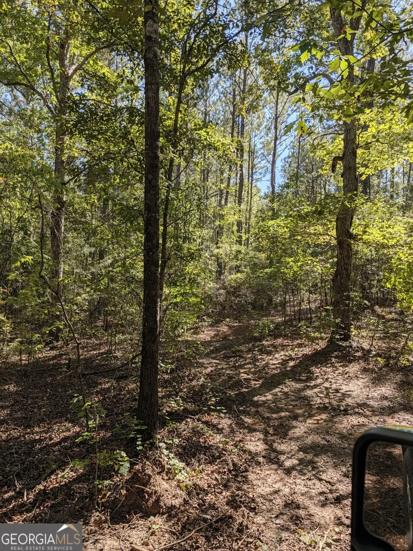 Photo of 0 CHAPPELL MILL Chappell Mill Road