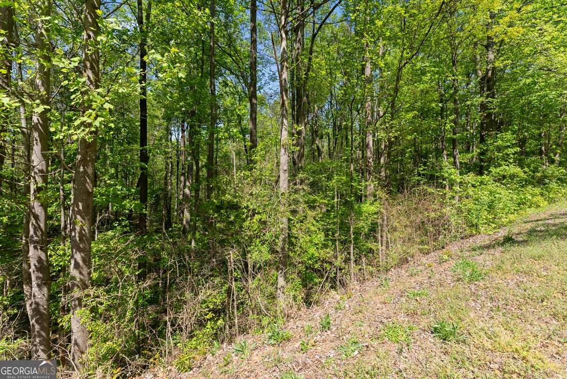 Photo of Unit LOT3 at 4276 Woods Bridge Road