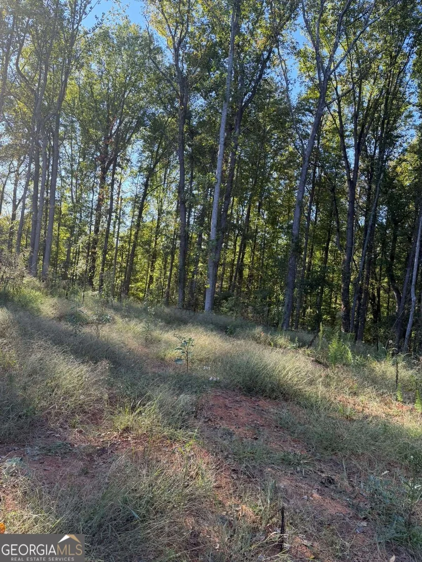 Photo of 92 Ida Pace Road