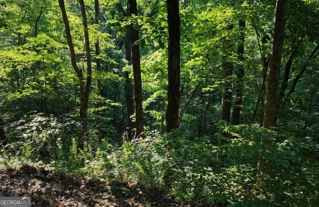 Photo of 115 Carters Overlook