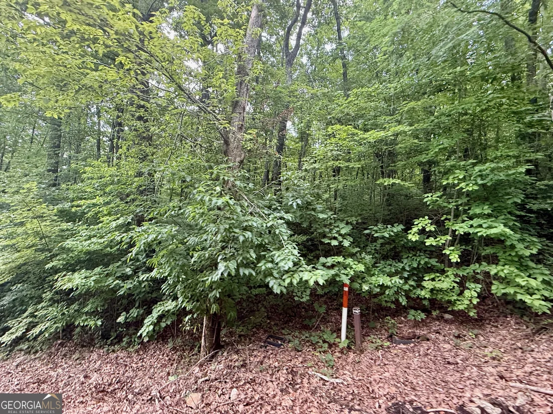 Photo of 0 Streets of the Overlook at Kingwood