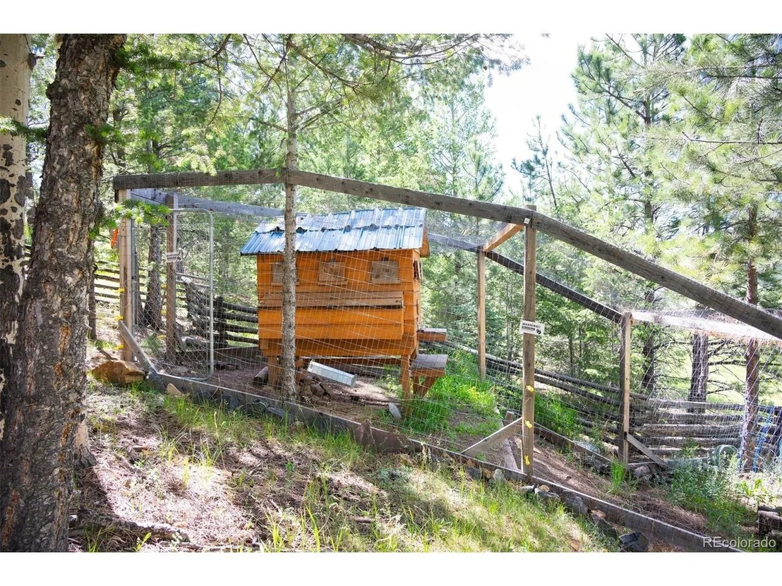 Photo of 32843 Deep Forest Rd