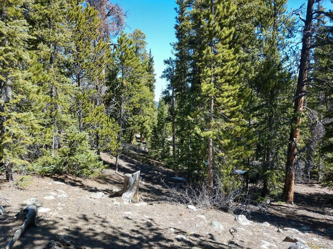 Photo of 710 Kootchie Kootchie Rd