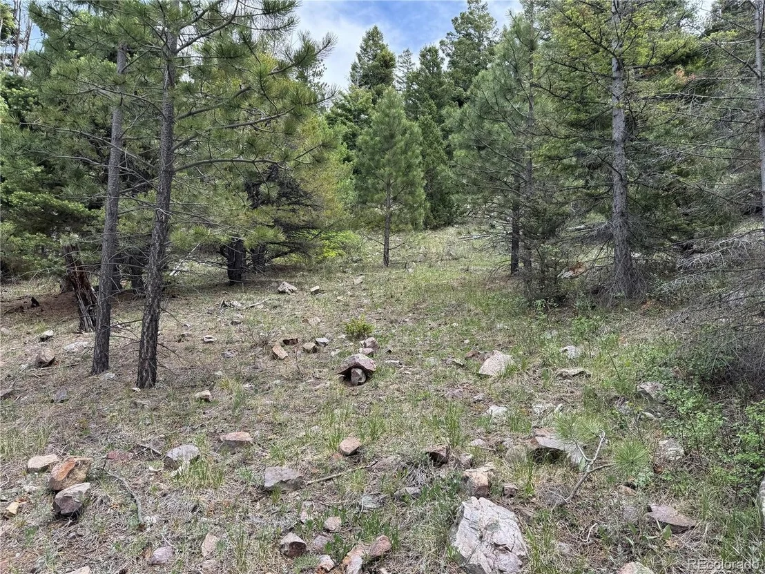 Photo of Knotty Pine Rd
