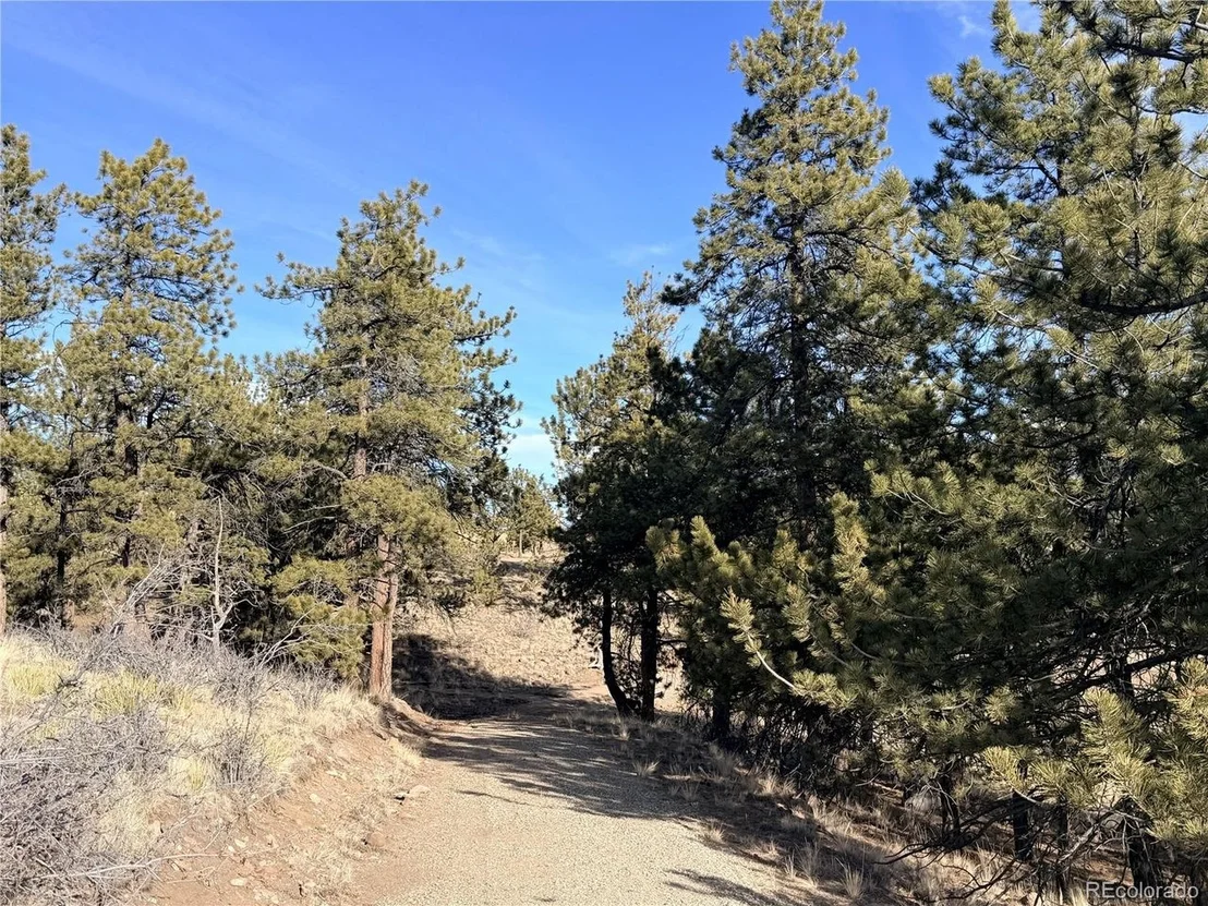 Photo of 729 Bridle Path