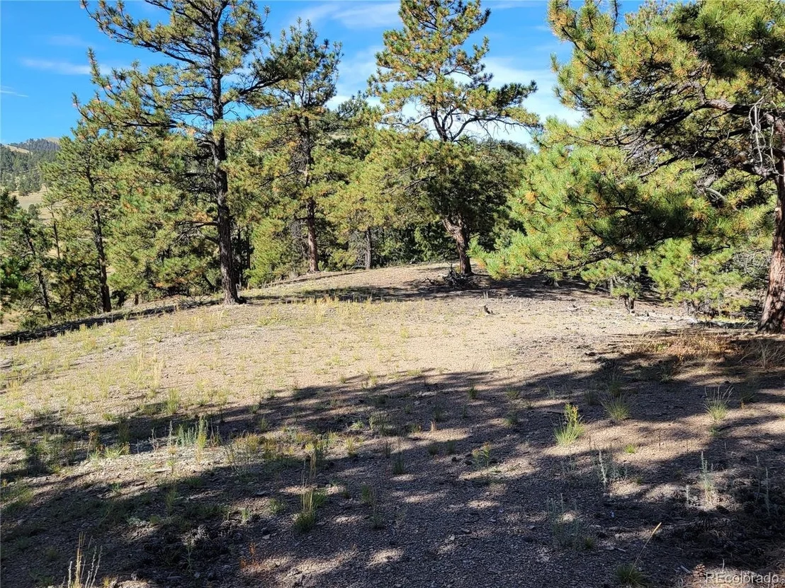 Photo of 1321 Bristlecone Rd