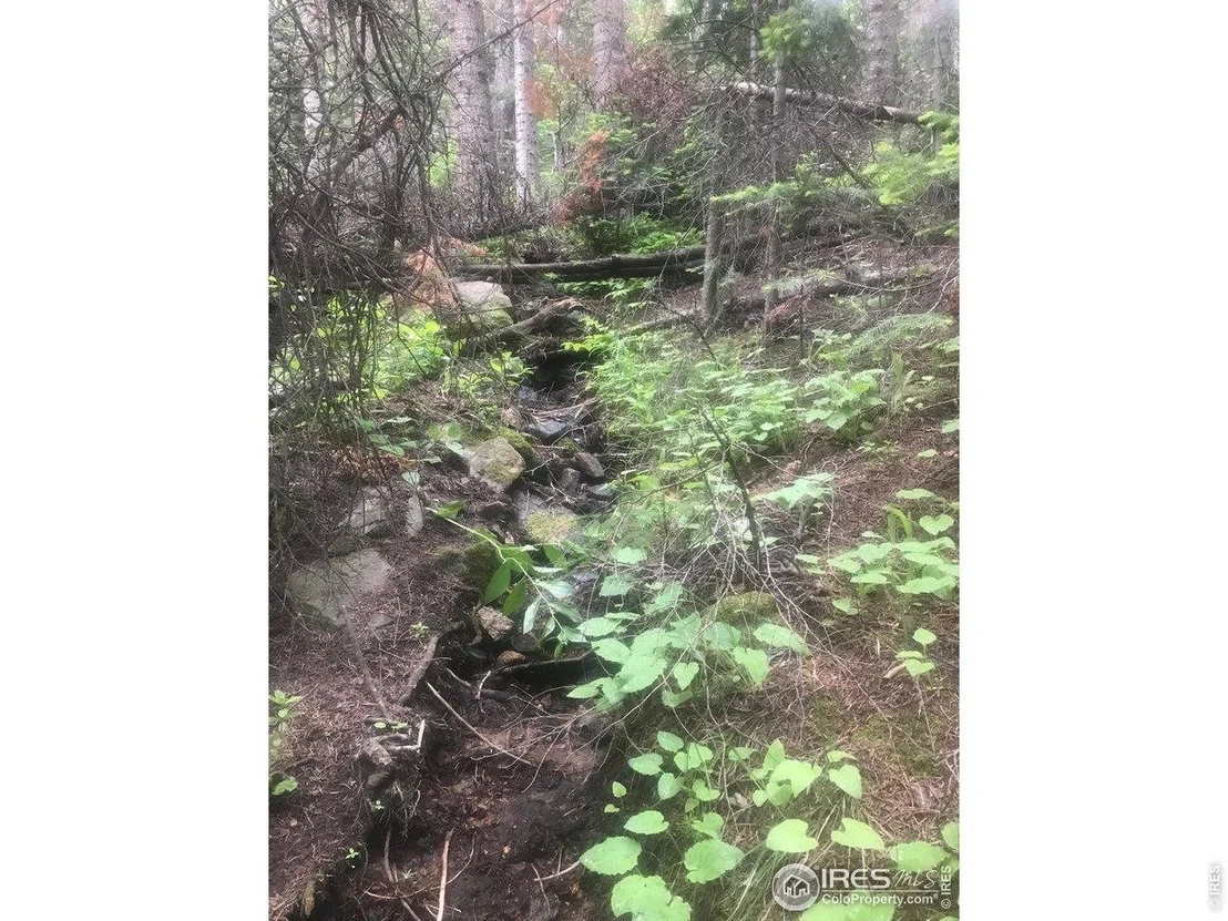 Photo of 1199 Brainard Lake Rd