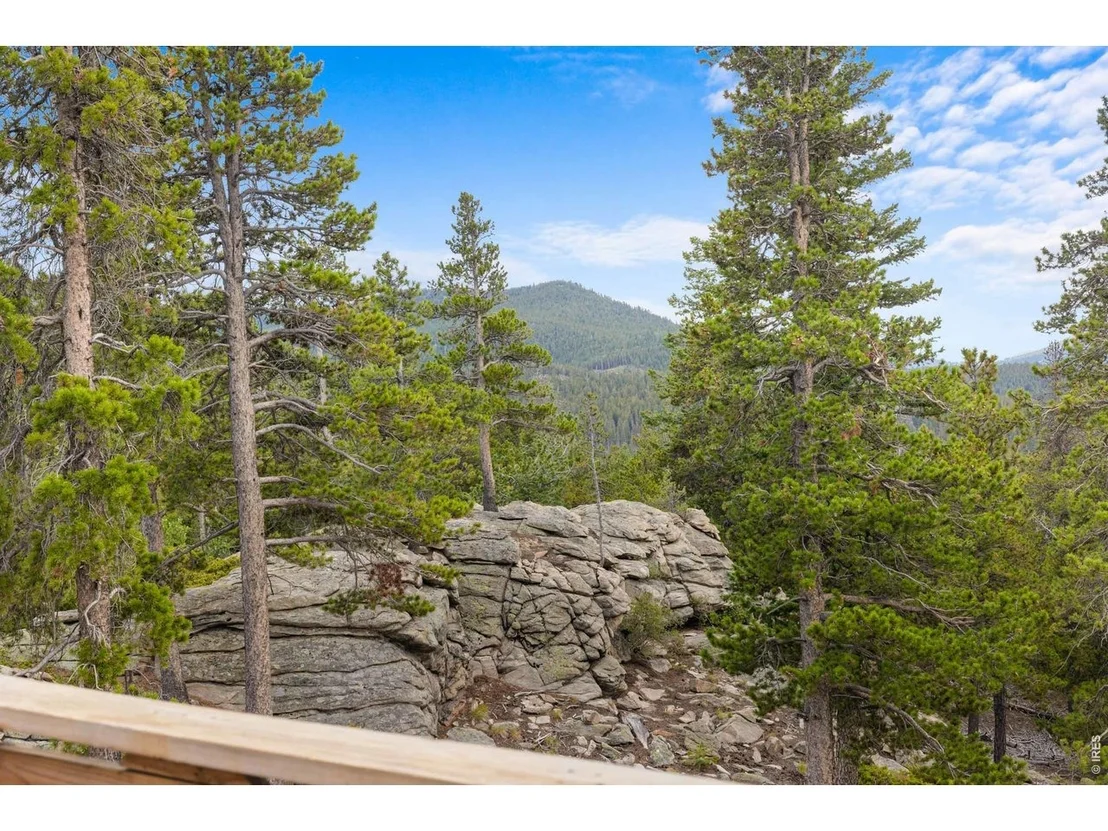 Photo of 33998 Lyttle Dowdle Dr