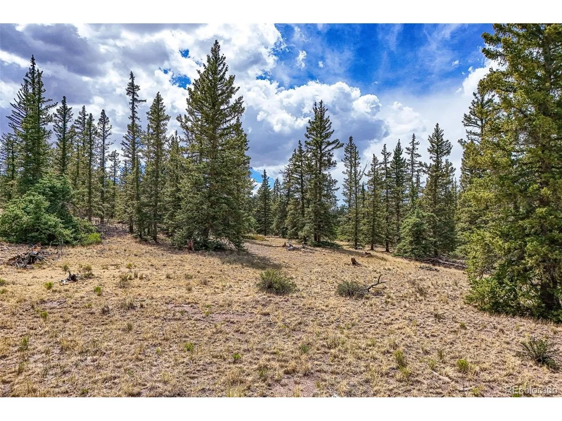 Photo of 1111 Latigo Loop