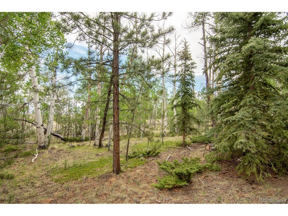 Photo of 244 Lariat Loop