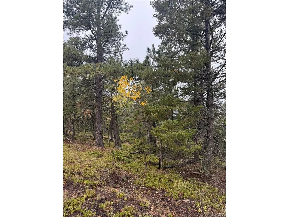 Photo of 7935 County Road 51