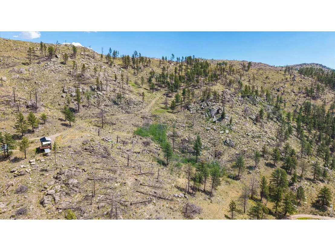 Photo of 693 Cougar Dr