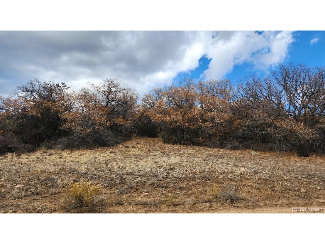 Photo of 47 White Cloud Dr