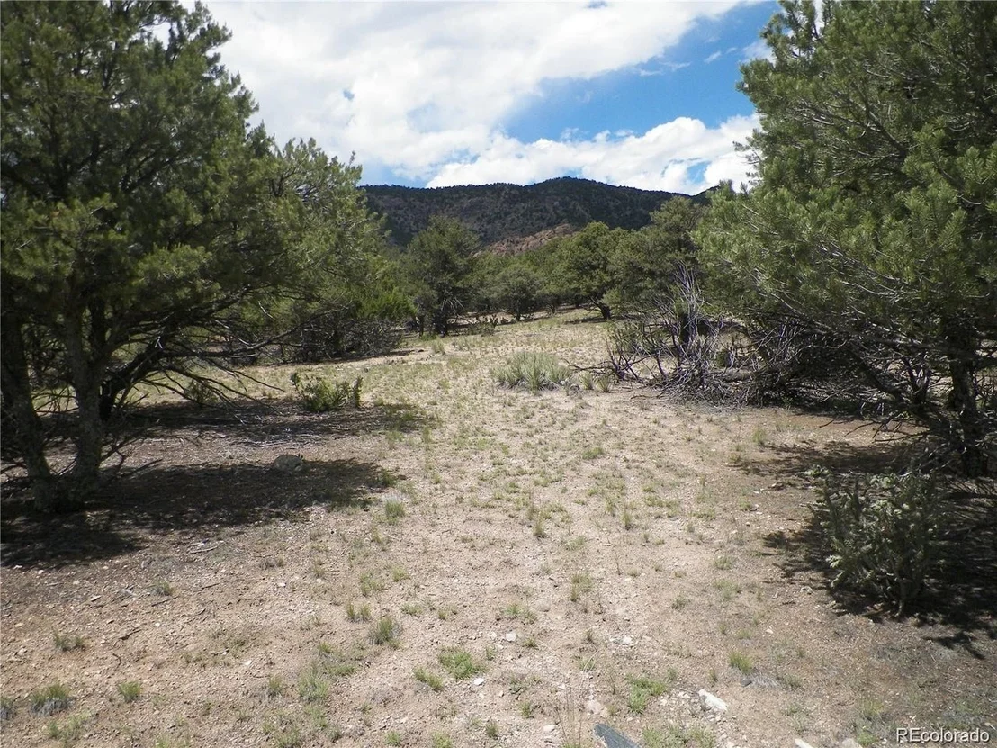 Photo of TBD